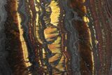 Tiger Iron Stromatolite Oval Cabochon #171320-1